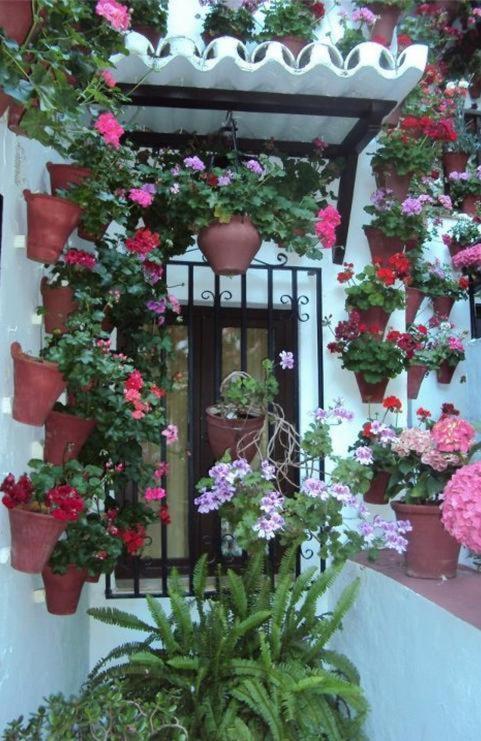 Hostal Los Claveles Baena Kültér fotó